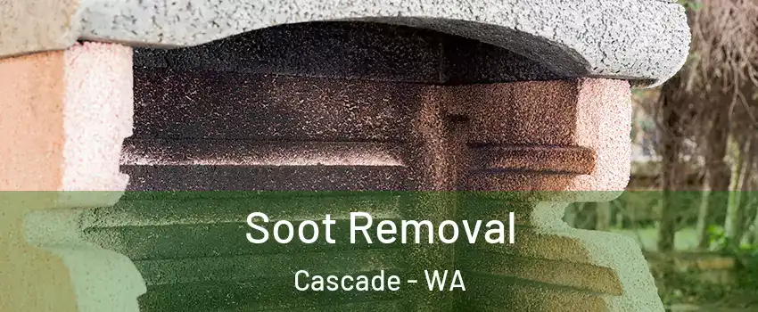 Soot Removal Cascade - WA