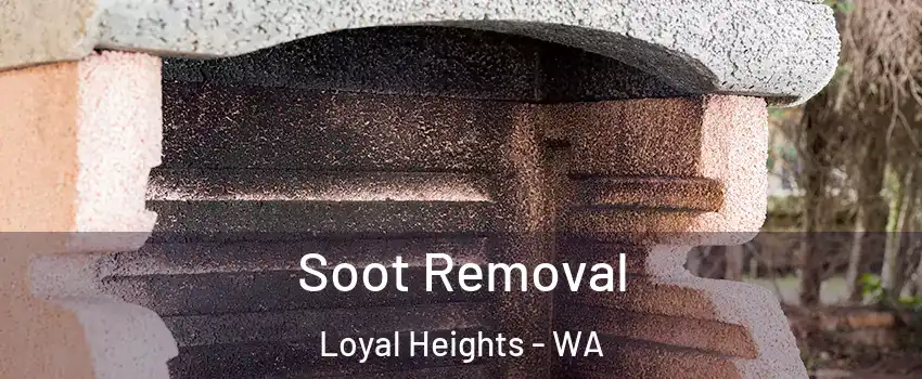 Soot Removal Loyal Heights - WA