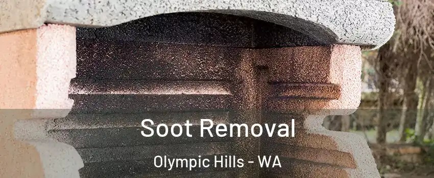 Soot Removal Olympic Hills - WA