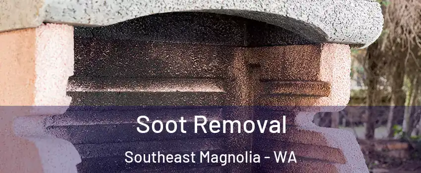 Soot Removal Southeast Magnolia - WA