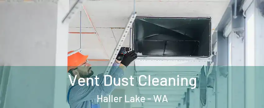 Vent Dust Cleaning Haller Lake - WA