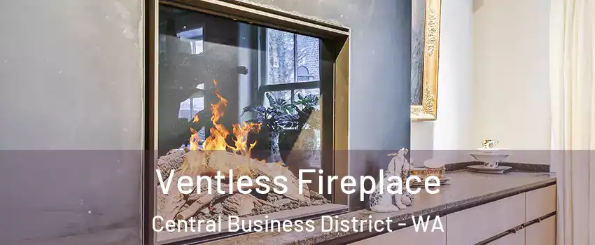 Ventless Fireplace Central Business District - WA