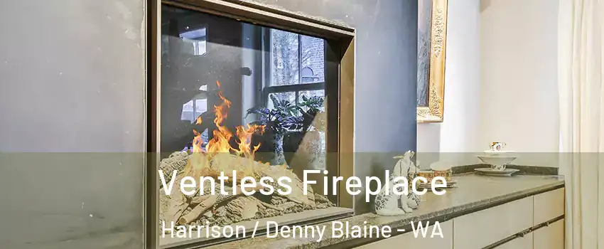 Ventless Fireplace Harrison / Denny Blaine - WA