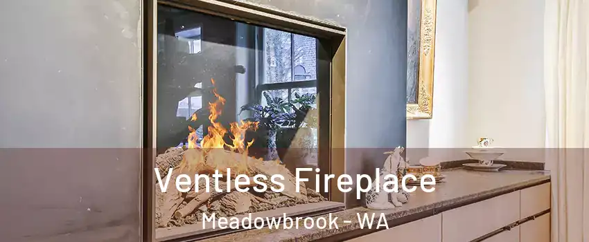 Ventless Fireplace Meadowbrook - WA