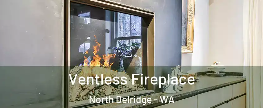 Ventless Fireplace North Delridge - WA