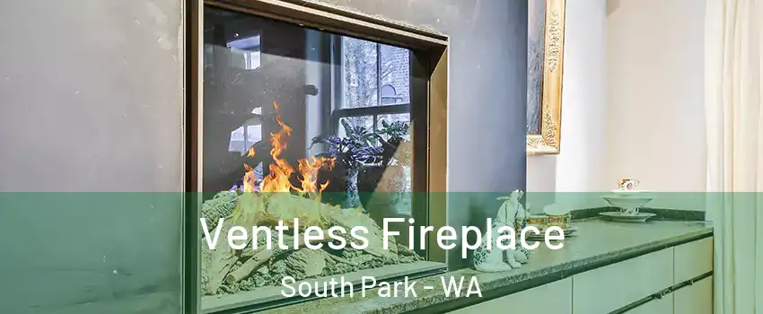 Ventless Fireplace South Park - WA