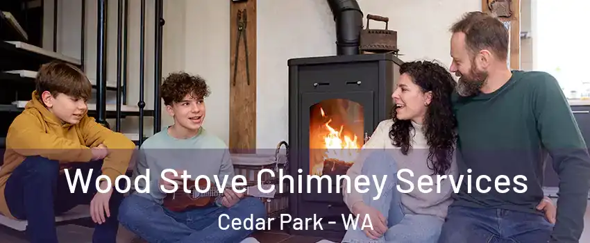 Wood Stove Chimney Services Cedar Park - WA