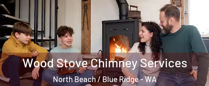 Wood Stove Chimney Services North Beach / Blue Ridge - WA