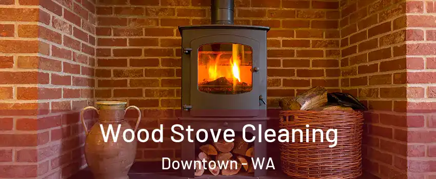 Wood Stove Cleaning Downtown - WA