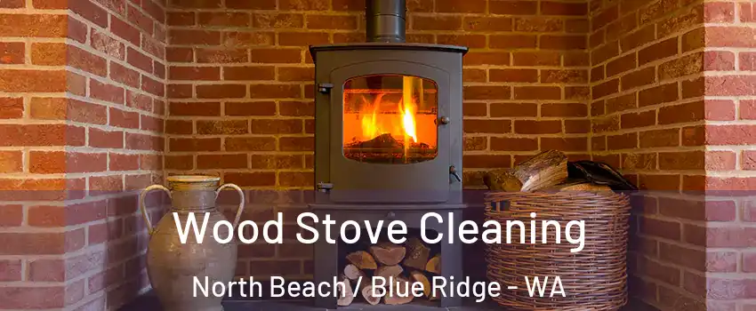 Wood Stove Cleaning North Beach / Blue Ridge - WA