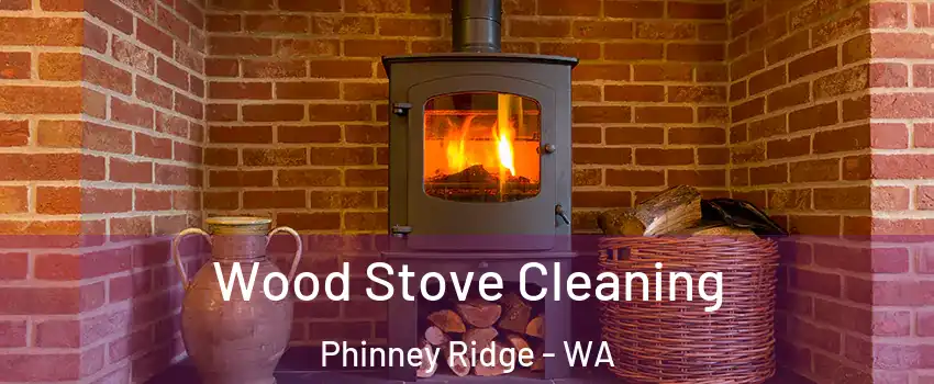 Wood Stove Cleaning Phinney Ridge - WA