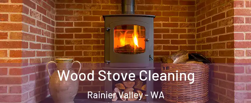 Wood Stove Cleaning Rainier Valley - WA